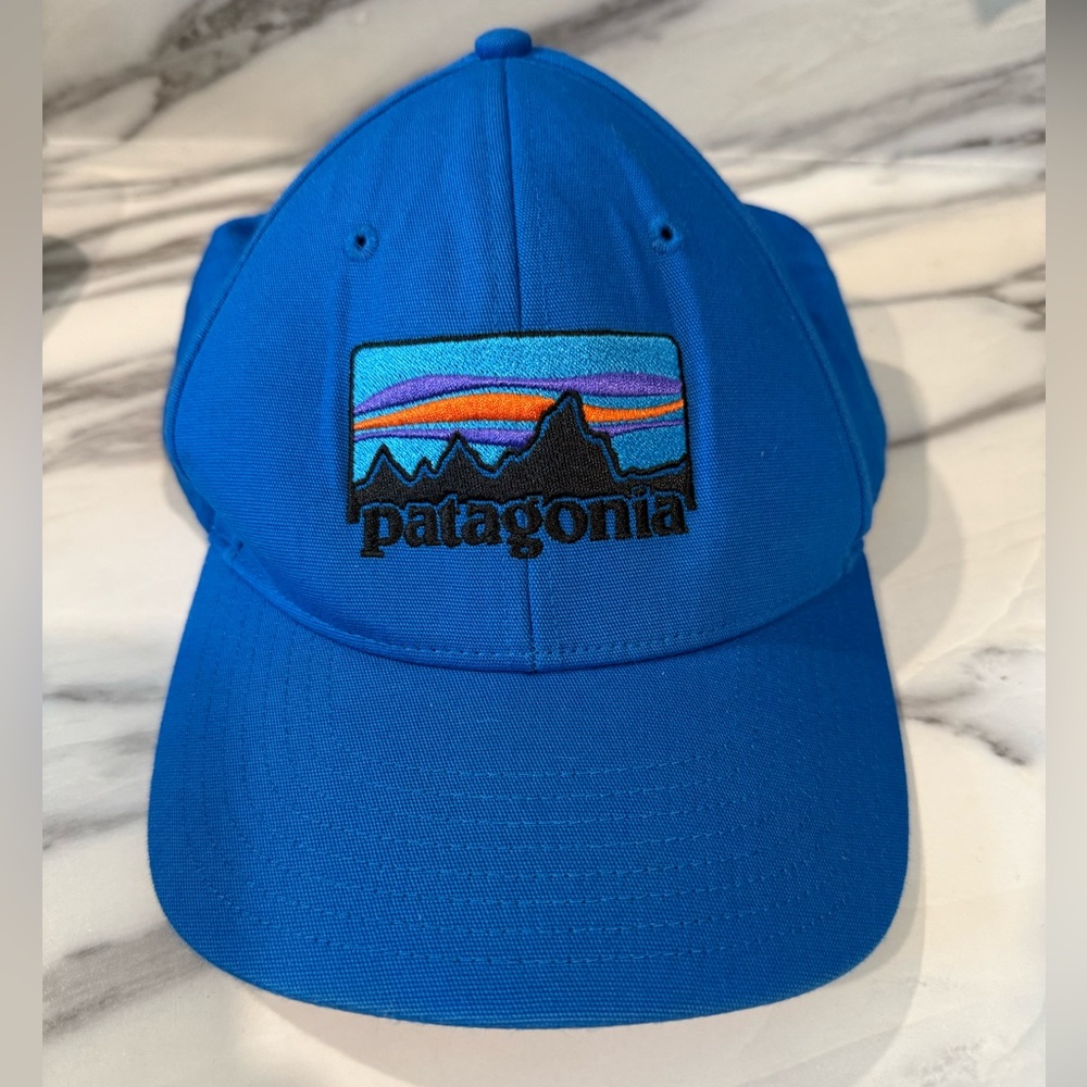 Patagonia Solid Snap Back Trucker Hat